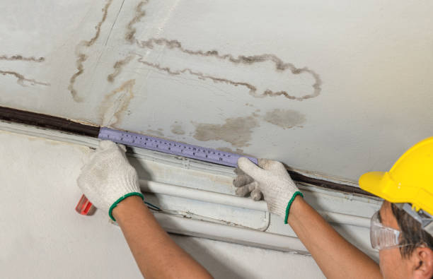 Reliable Burst Pipe Cleanup contractor in Berkley, MI by Water Damage Irwin